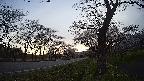 17b0-20210505050722.jpg