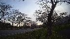 17b0-20210505051741.jpg