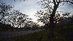 17b0-20210505052738.jpg