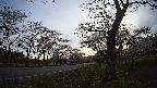 17b0-20210505053740.jpg
