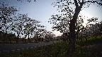 17b0-20210505055738.jpg