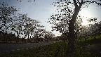 17b0-20210505060738.jpg