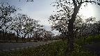 17b0-20210505064719.jpg