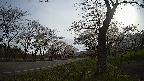 17b0-20210505070741.jpg