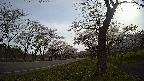 17b0-20210505072747.jpg