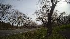 17b0-20210505074720.jpg