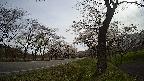 17b0-20210505075745.jpg