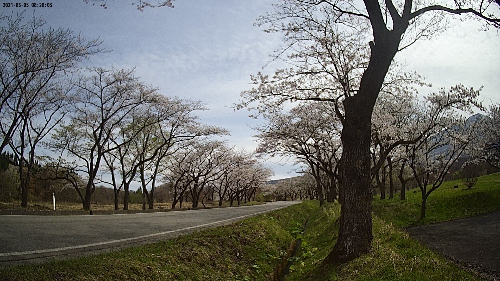 17b0-20210505082803.jpg