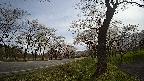 17b0-20210505082803.jpg