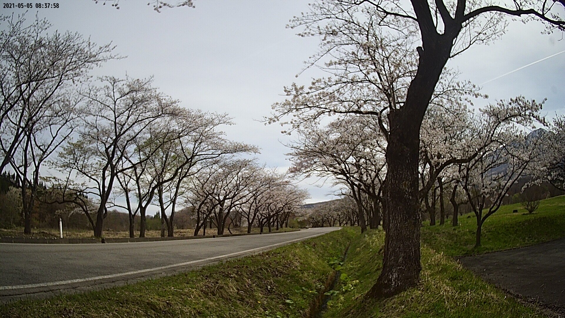 17b0-20210505083758.jpg