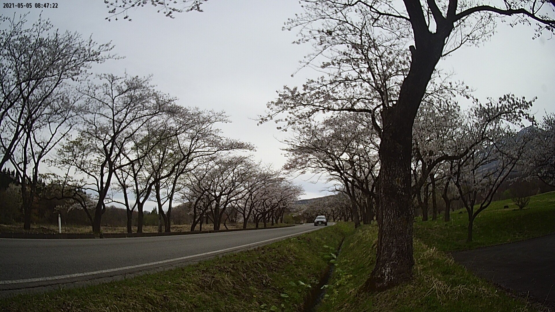 17b0-20210505084722.jpg