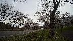 17b0-20210505084722.jpg