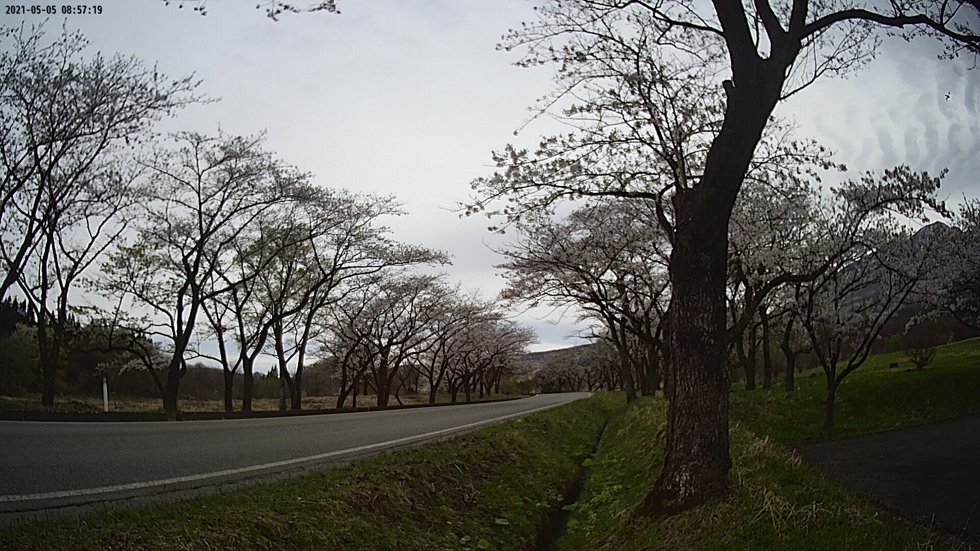 17b0-20210505085719.jpg
