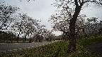 17b0-20210505091749.jpg