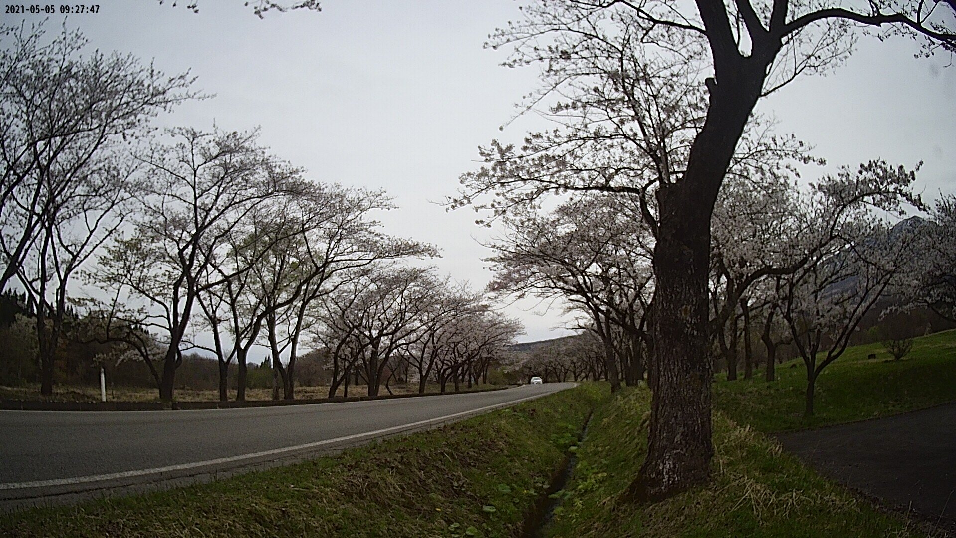 17b0-20210505092747.jpg
