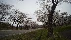 17b0-20210505093842.jpg