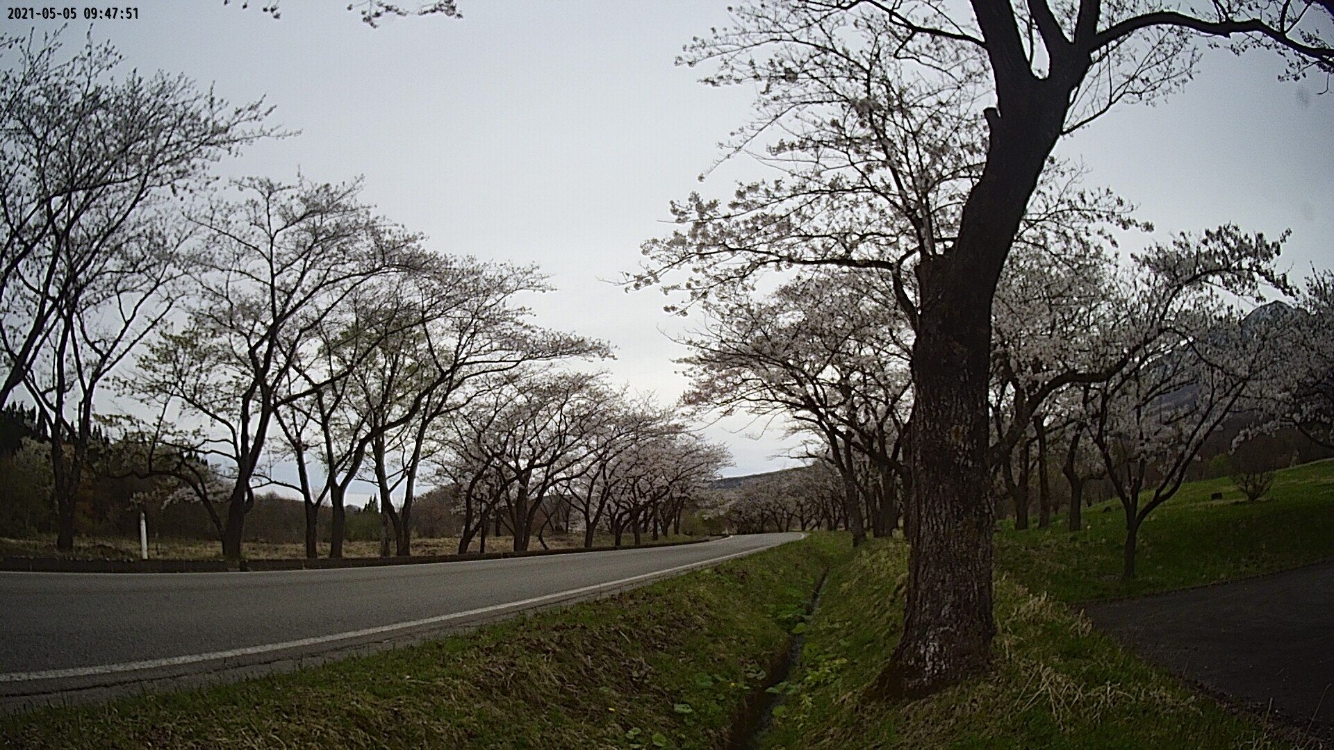 17b0-20210505094751.jpg