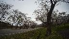 17b0-20210505094751.jpg