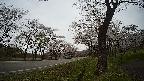 17b0-20210505095745.jpg
