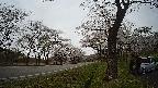 17b0-20210505101725.jpg