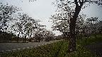 17b0-20210505103744.jpg
