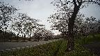 17b0-20210505104749.jpg