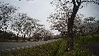 17b0-20210505105725.jpg