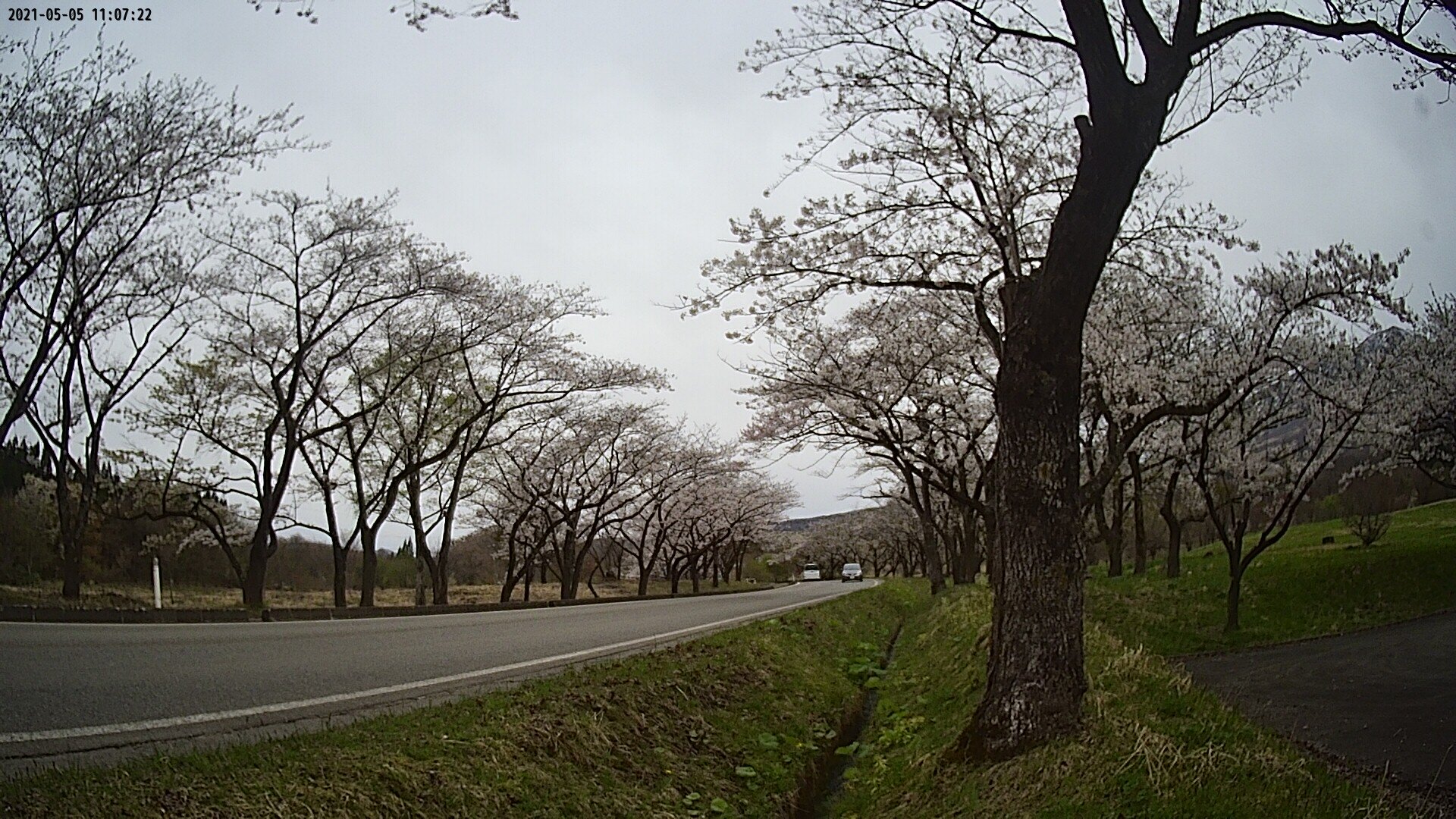 17b0-20210505110722.jpg