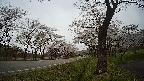 17b0-20210505110722.jpg