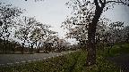 17b0-20210505112814.jpg