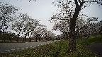 17b0-20210505120724.jpg