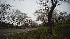 17b0-20210505121722.jpg