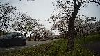 17b0-20210505122721.jpg