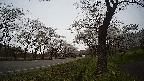 17b0-20210505124723.jpg
