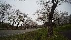 17b0-20210505125725.jpg
