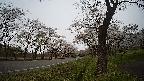 17b0-20210505130725.jpg
