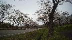17b0-20210505131725.jpg