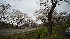 17b0-20210505133727.jpg