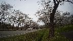 17b0-20210505134723.jpg