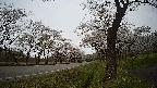 17b0-20210505135740.jpg