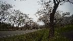 17b0-20210505140741.jpg