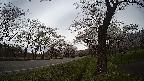 17b0-20210505142724.jpg
