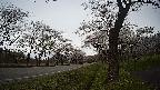 17b0-20210505143741.jpg