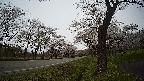 17b0-20210505145742.jpg