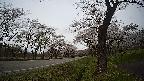 17b0-20210505150743.jpg