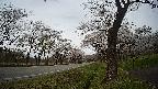 17b0-20210505151748.jpg