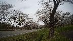 17b0-20210505152727.jpg