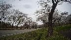 17b0-20210505153747.jpg