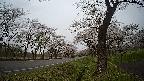 17b0-20210505155743.jpg