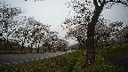 17b0-20210505160739.jpg